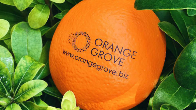 orange grove kk